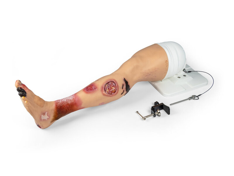 Lena Leg - Medical Leg Care Trainer