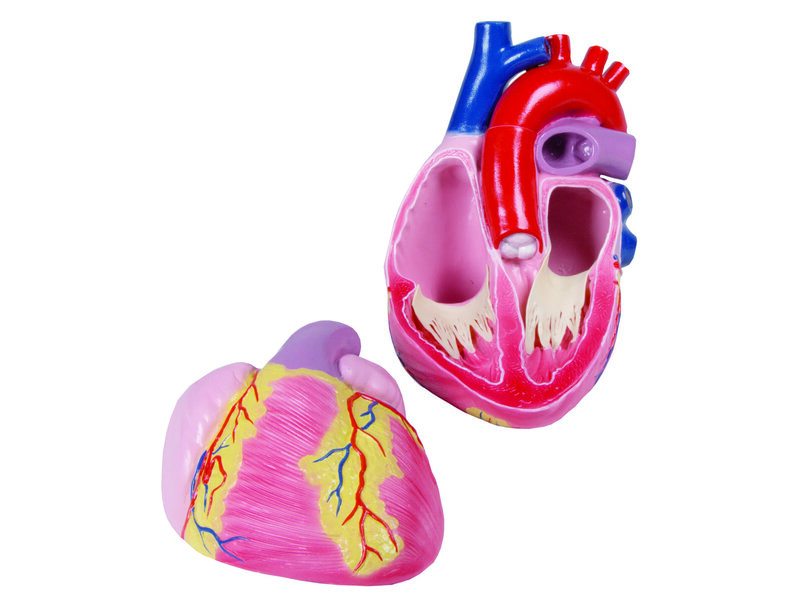 Giant Heart 3x Life Size