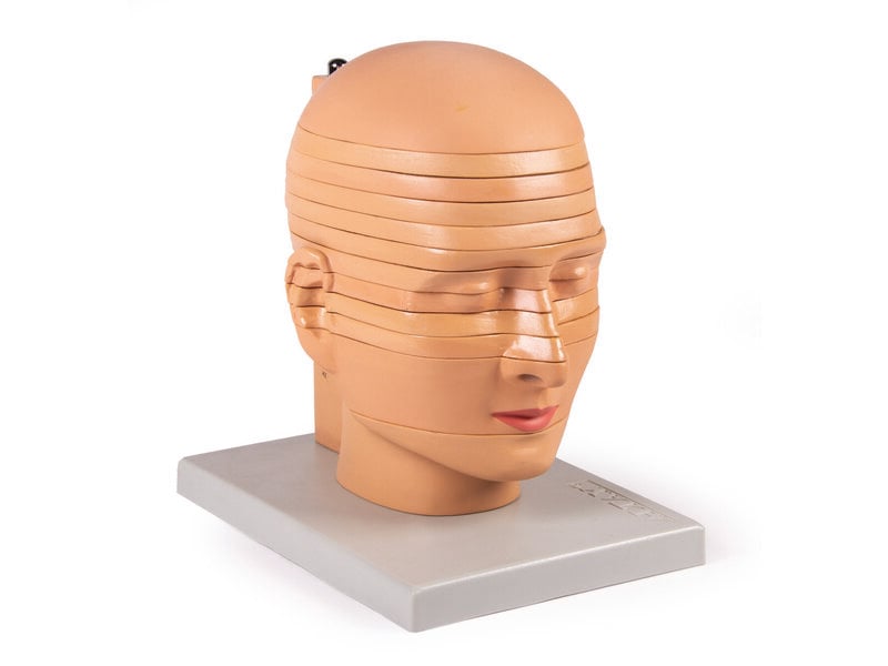 Disc Head Model
