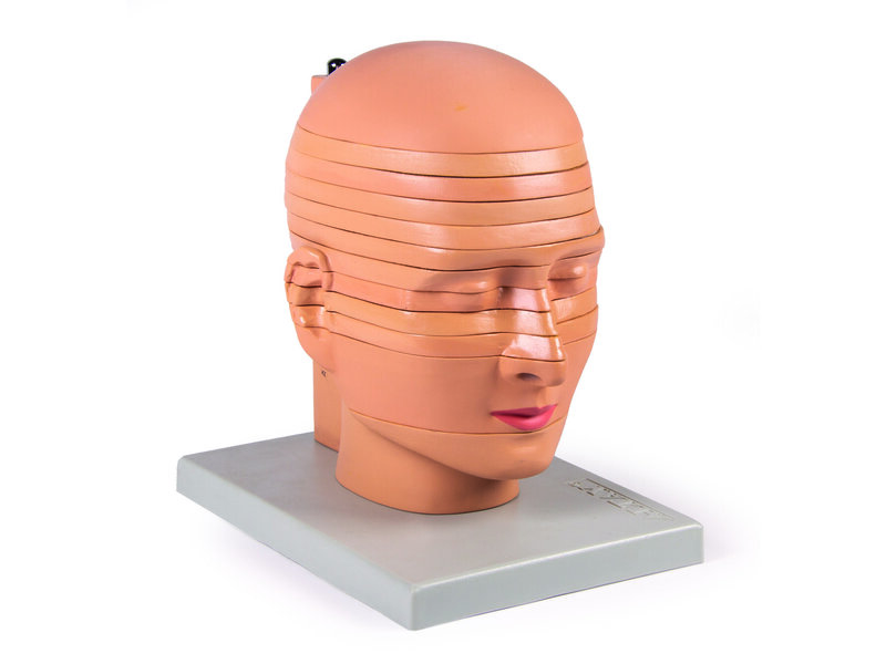 Disc Head Model