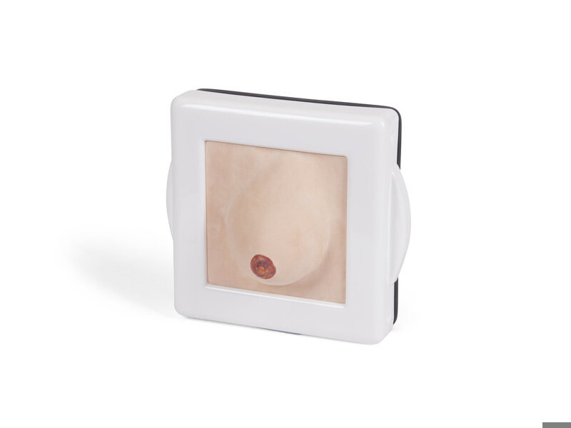 Apprentissage de l'examen et diagnostique du sein - standard