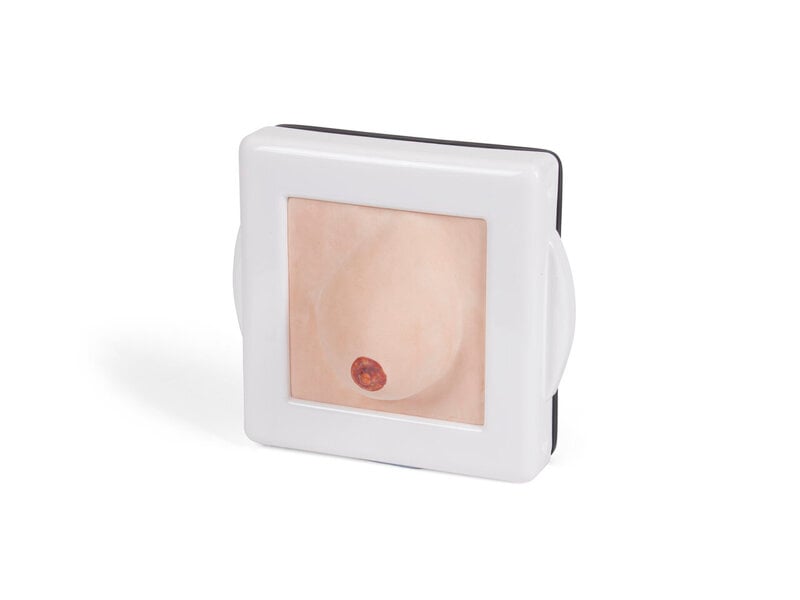 Examination & Diagnostic Breast Trainer