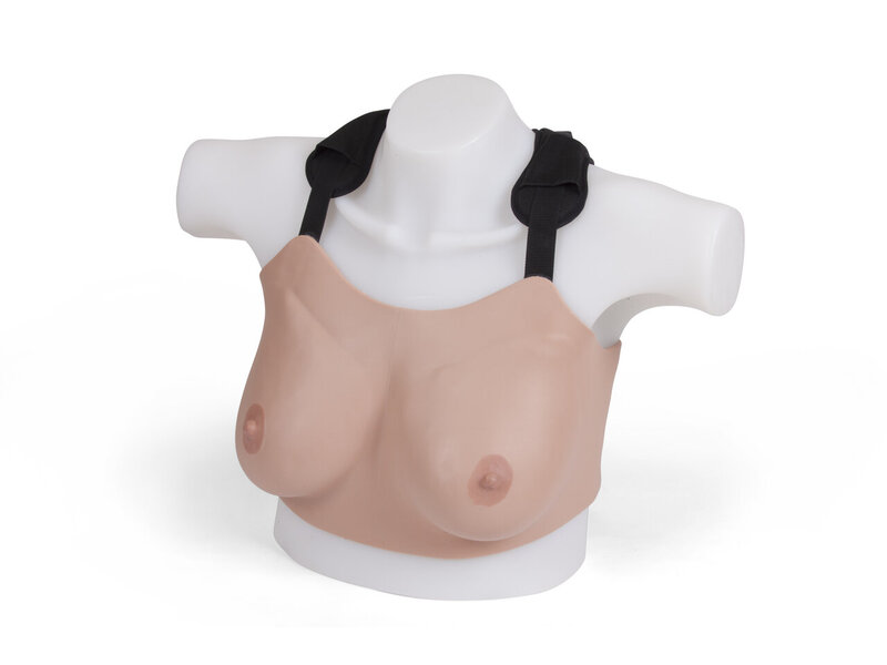 Basic Breast Exam Trnr