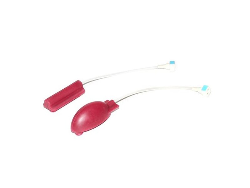 Aortas 2 Set for Examination Trainer