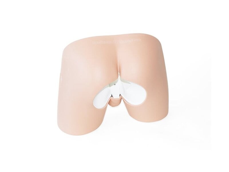 Male Rectal Exam Trn