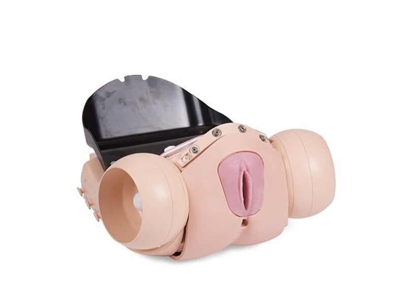 Surg Female Pelvic Trnr SFPT Mk2