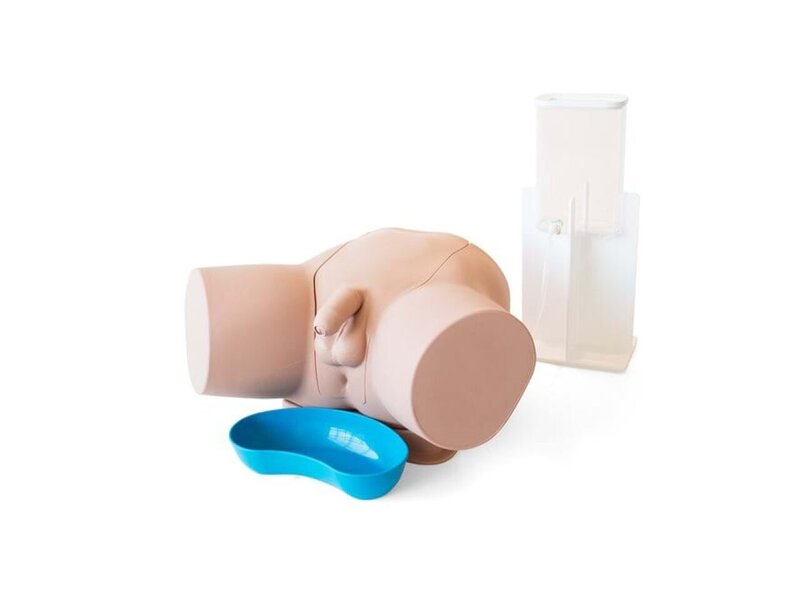 Male Catheterization Trainer