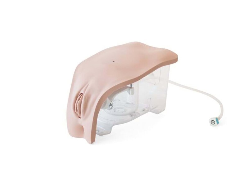 Female Module Catheterization