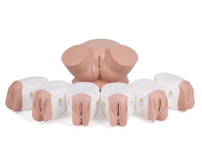 Clinical Female Pelvic Trainer MK 3 - Advanced