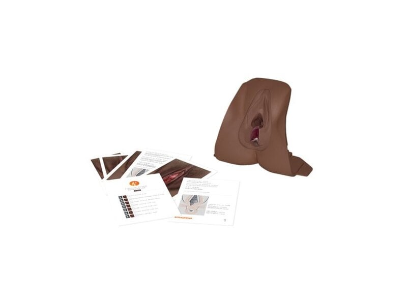 Anal Sphincter Repair DK
