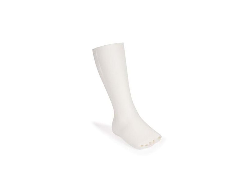 Foot and Ankle