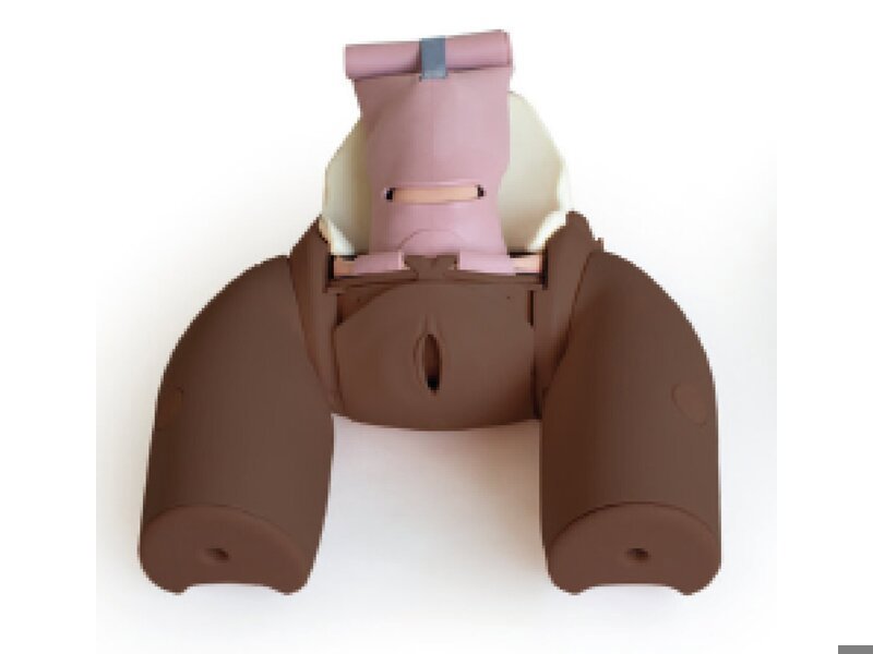 Enhanced Caesarean Section Module (ECSM) - Dark
