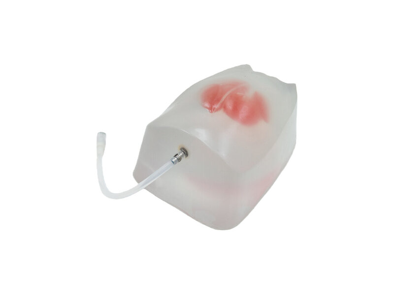 Replaceable Module - Amniocentesis Ultrasound Model (Transparent)