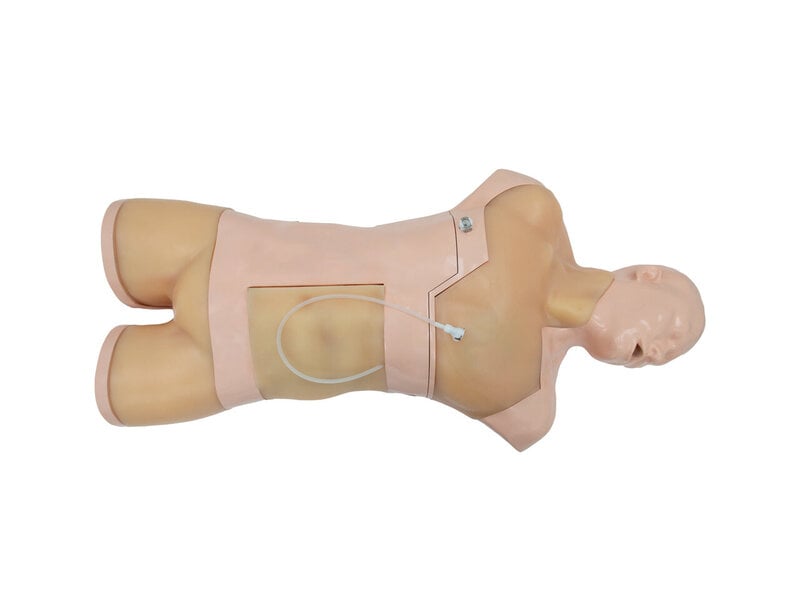 Integrated Anesthesia Ultrasound Simulator (Skin colored, Auto pump)