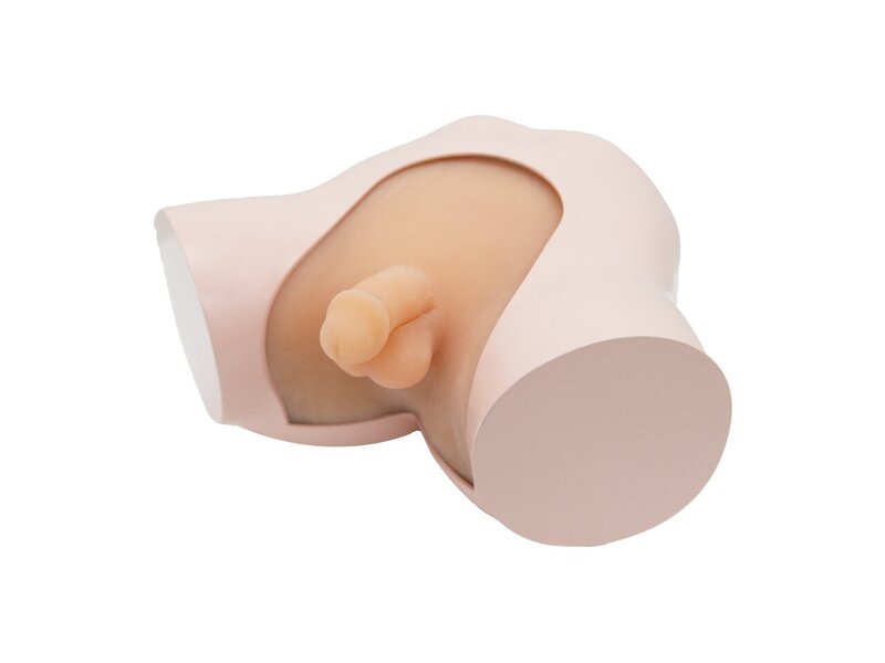 Bladder Disease Screening Ultrasound Model (Skin Tone)
