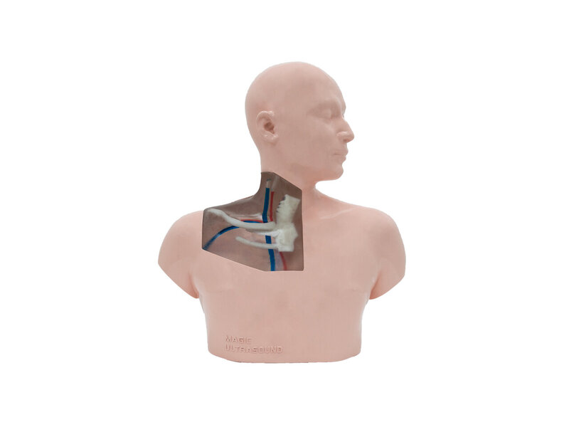 CVC Ultrasound Model (Transparent, Hand pump)