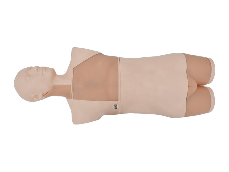 ECMO And CRRT  Catheterization Ultrasound Simulator (Skin colored, Auto pump)