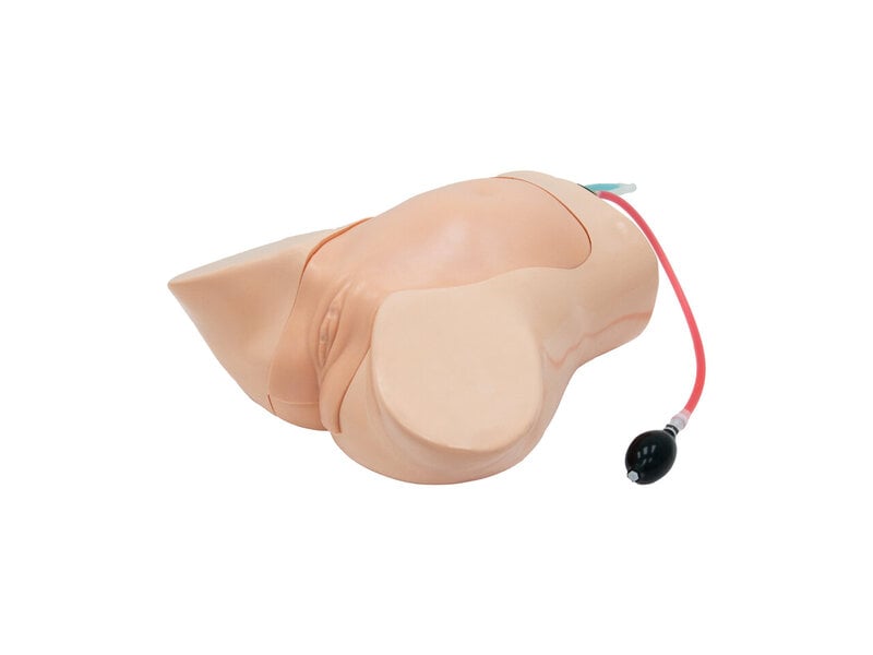 Fetal Blood Sampling (FBS) Ultrasound Model (20 weeks, Hand pump, Skin colored)