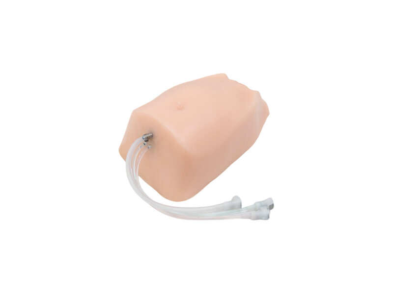 Replaceable Module - FBS  Ultrasound Model (Skin tone)