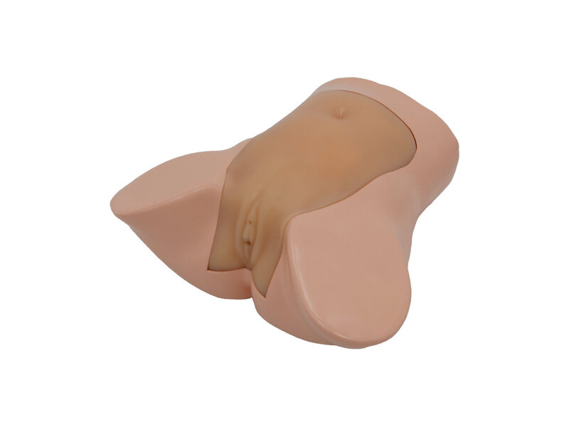 Early Pregnancy Ultrasound Examination Model (7 weeks of pregnancy, Skin colored)