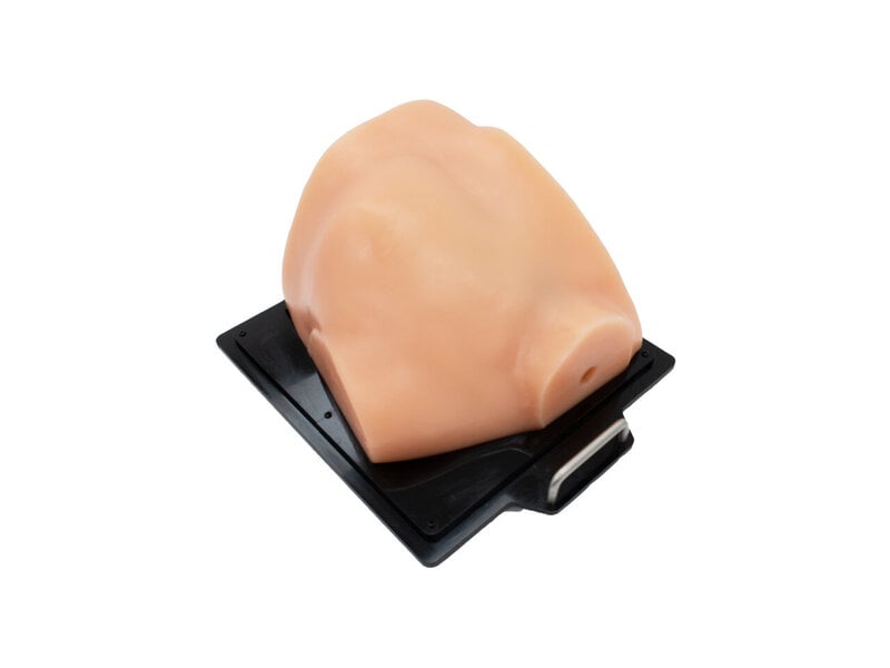 Cardiac Exam US skin With skin