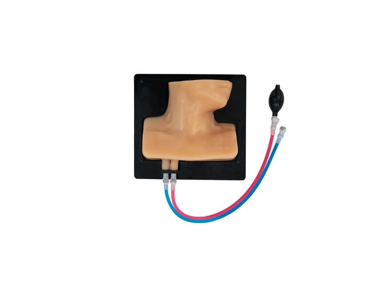 Modèle d’échographie pour ponction veine interne (chair, pompe manuelle)