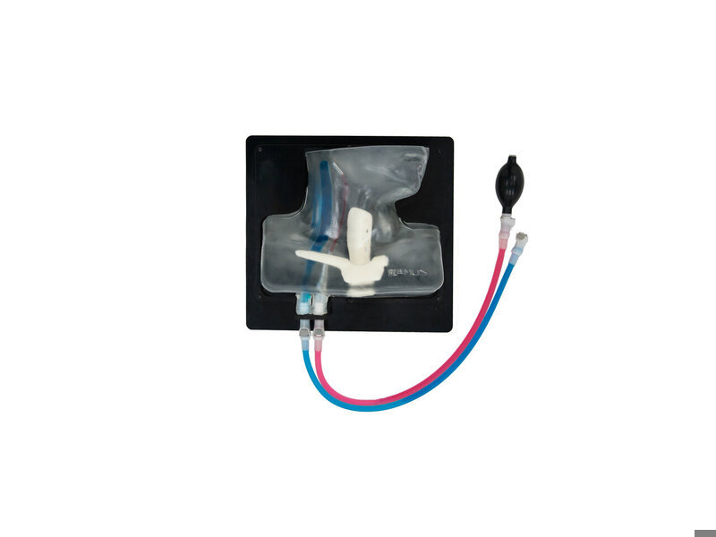 Modelo ecografía vena yugular interna (bomba manual) (Transparente)