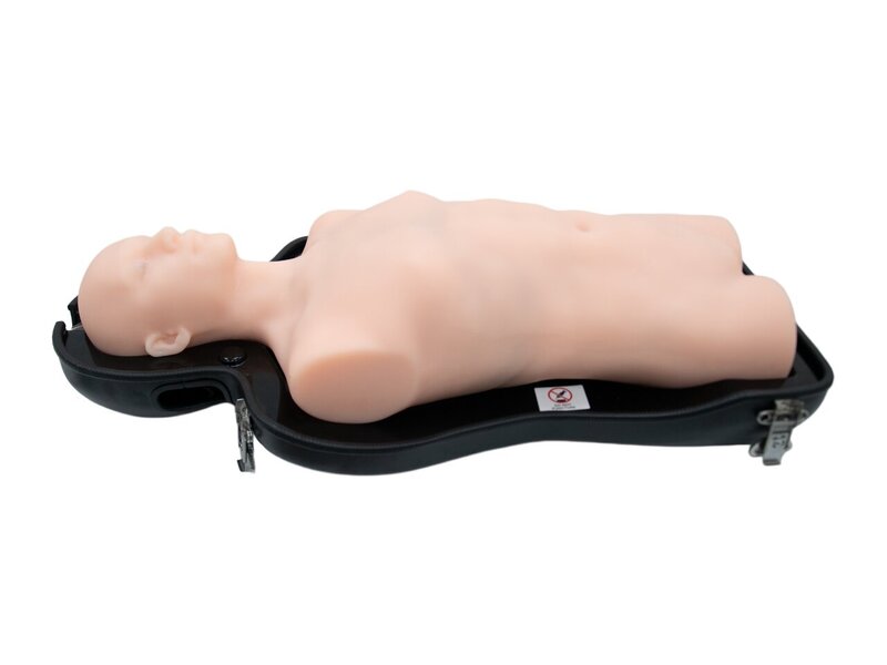 Integrated Ultrasound Diagnosis Simulator (Without Pathologies, Skin Tone)