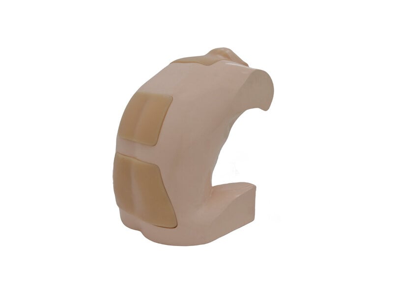 Intraspinal Anesthesia Ultrasound Model (Skin colored)