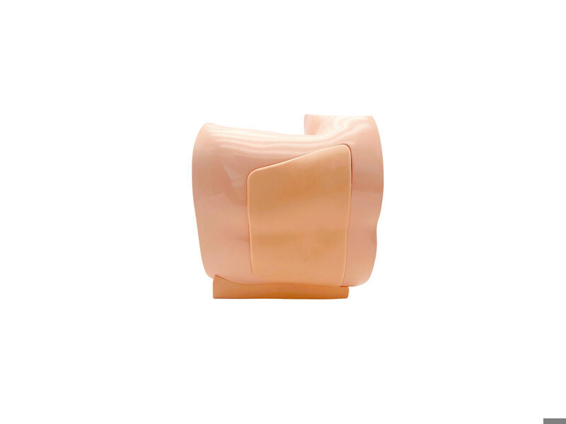 Modelo Ecografía Punción Lumbar