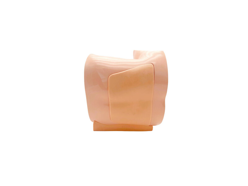 Lumbar Puncture Ultrasound Model (Skin colored)