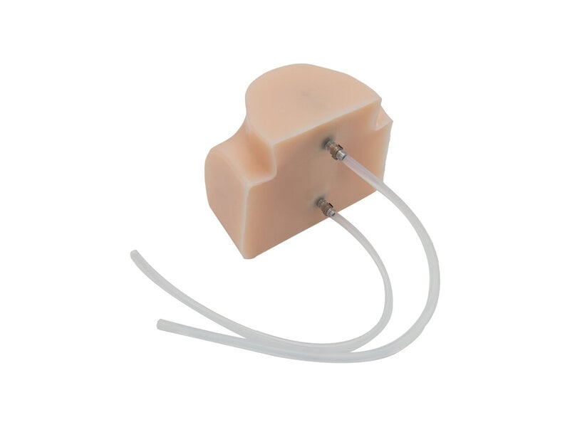 Replaceable Module - Cervical Puncture (Skin tone)