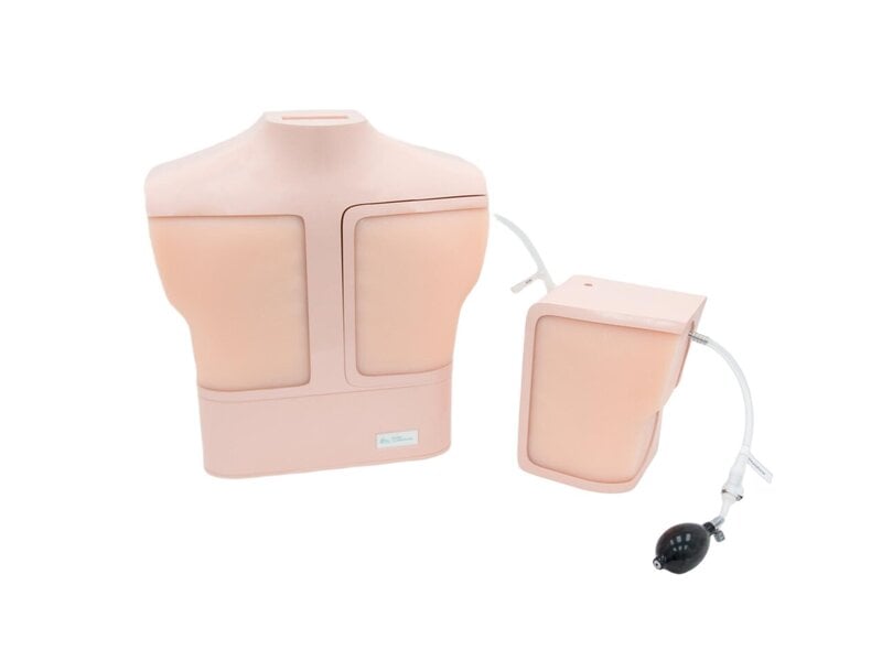 Lung Ultrasound Training Model