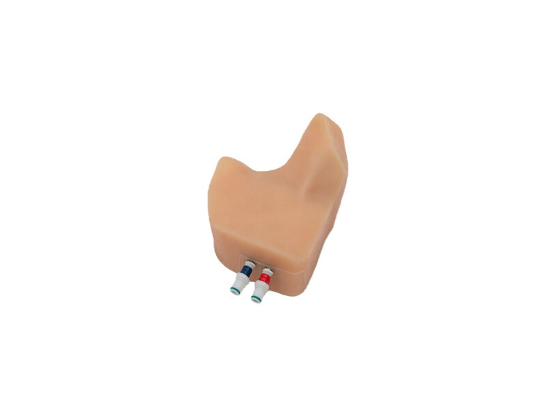 Replaceable Module - Pediatric CVC Ultrasound Model (Skin tone, Auto pump)