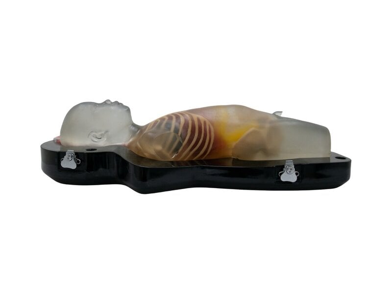Integrated Pediatric Ultrasound Diagnosis Simulator (Transparent)