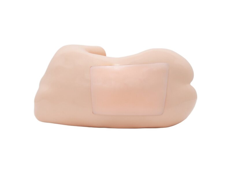 Pediatric Intraspinal Anesthesia Ultrasound Model (Skin Tone)