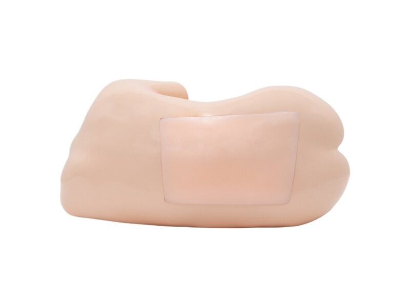 Pediatric Intraspinal Anesthesia Ultrasound Model (Skin Tone)