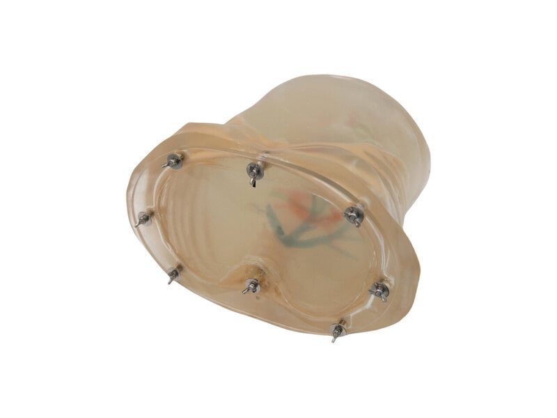 PTC drainage US model Transparent & auto pump