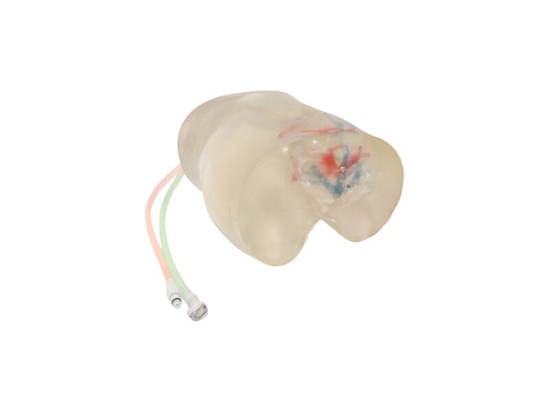 Replaceable Module - PTCD Ultrasound Model