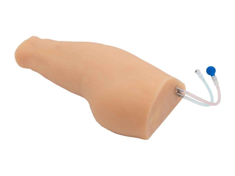 Sciatic Nerve Block Ultrasound Model