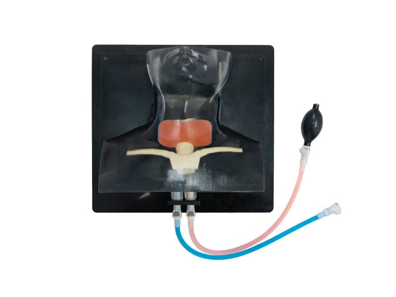 Thyroid Diagnosis Ultrasound Model (Transparent, Hand pump)