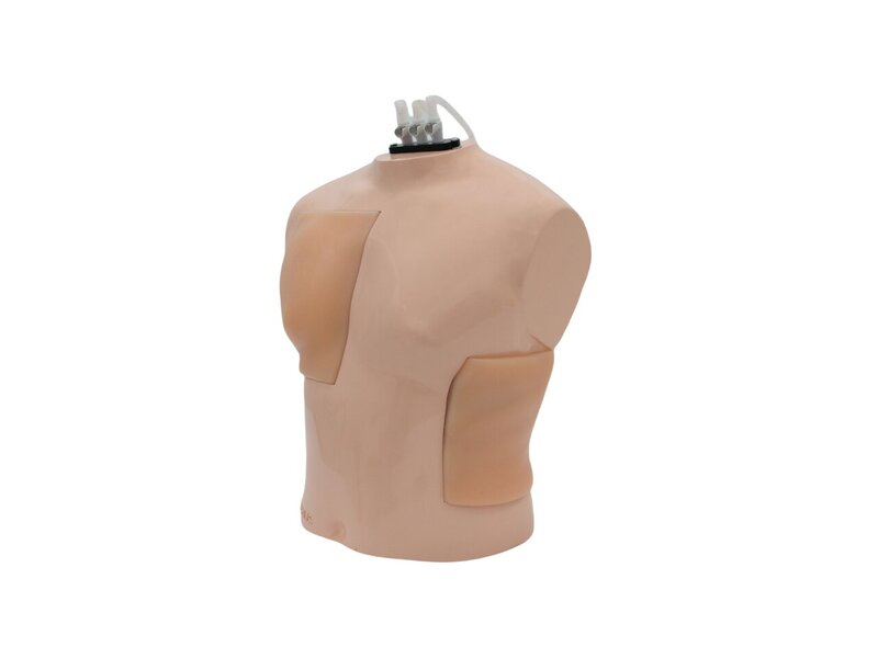 Comprehensive Thoracentesis Ultrasound Model