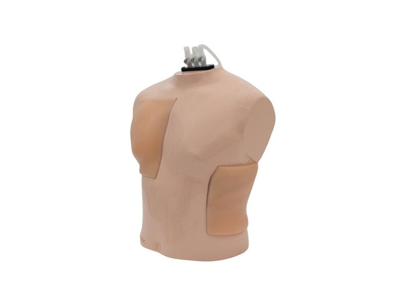 Comprehensive Thoracentesis Ultrasound Model