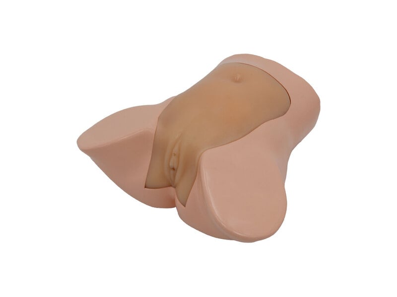 Uterine Tumor Puncture And Ablation Ultrasound Model (Skin colored)