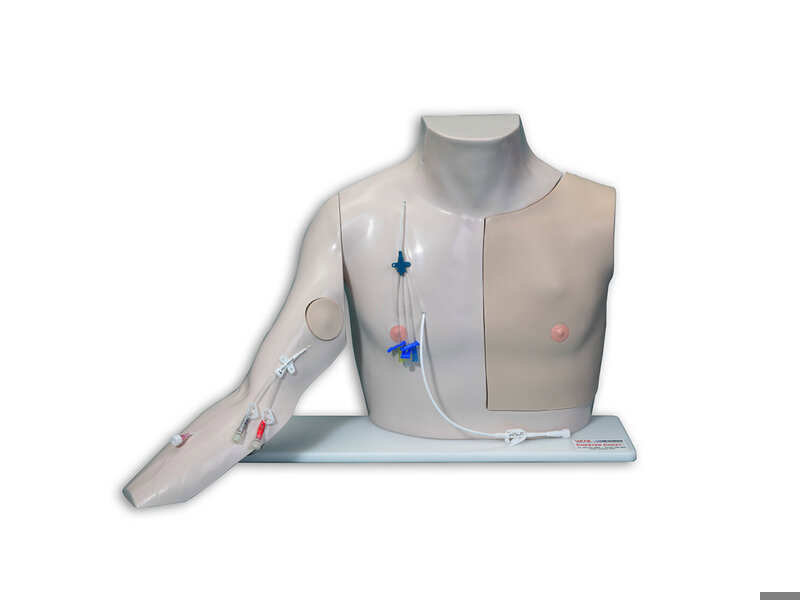 Chester Chest Advanced Arm hell