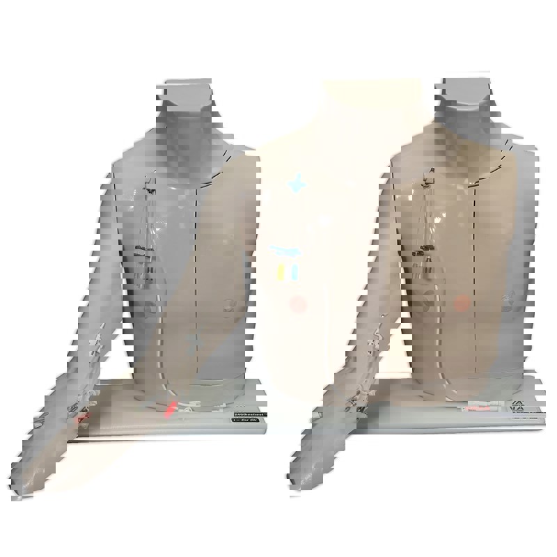 CHESTER CHEST W-STD ARM