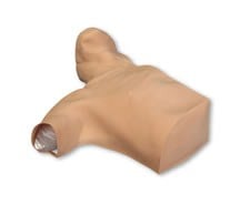 SKIN; BODY-REPLACEMENT